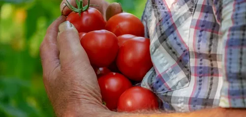 Fraisetlocal.fr : une plateforme nationale pour trouver des...