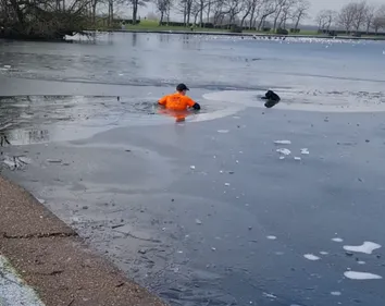 Il sauve un chien piégé en plongeant dans un lac gelé (vidéo)