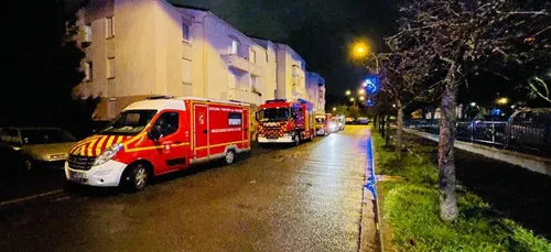 Poissy : le forcené poignarde le chien du RAID pendant l’assaut