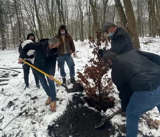 «1 naissance, 1 arbre » : la Seine-Saint-Denis offre un arbre aux...