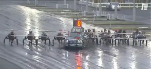 Départ surréaliste lors d'une course hippique à Vincennes (vidéo)