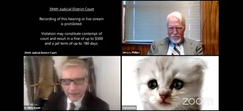 « Je ne suis pas un chat » : un avocat coincé avec un filtre lors...