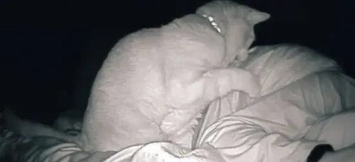 Fatiguée en permanence, elle installe une caméra dans sa chambre et...