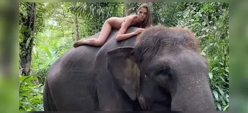 Une influenceuse pose nue sur un éléphant, les internautes...