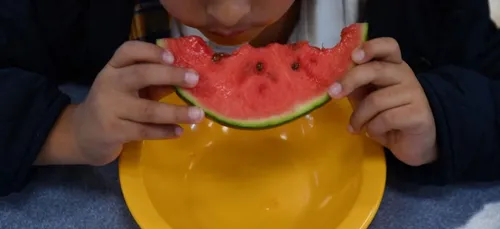 Un menu unique sans viande envisagé dans les écoles parisiennes
