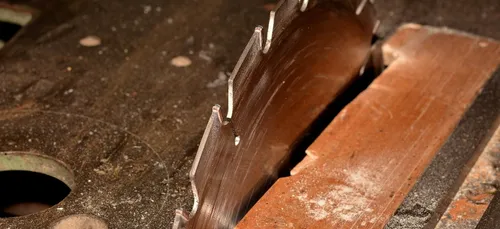 Ils demandent une scie à leurs voisins "pour faire disparaître un...