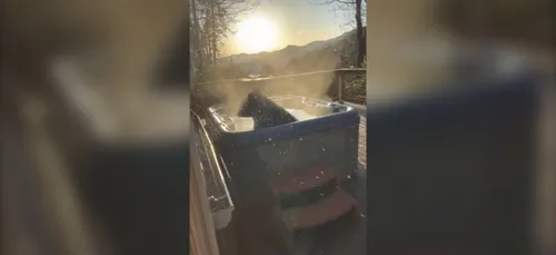 Un ours s'incruste dans un jacuzzi (Vidéo)