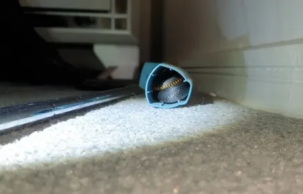Un serpent vénéneux retrouvé recroquevillé dans un inhalateur (Photo)