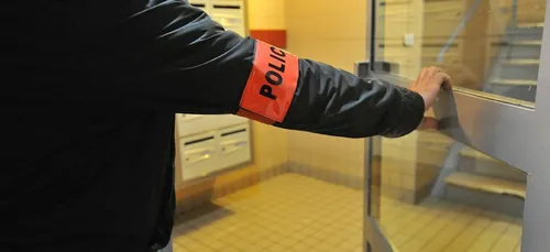 Guidés par l’odeur, des policiers découvrent des plants de cannabis...