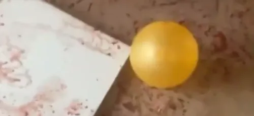 #Cecilia : que s’est-il passé ce week-end à Savigny-sur-Orge ?