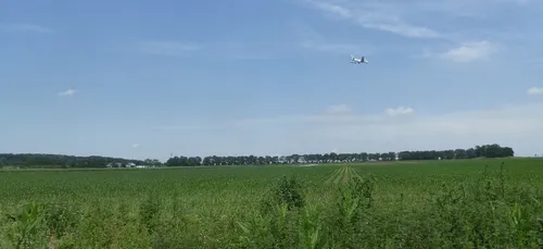 Ligne 17 : une extension du Marché de Rungis dans le Triangle de...