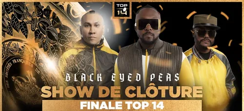 Rugby : les Black Eyed Peas en concert pour la finale de Top 14 au...