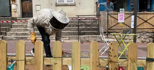 Un essaim de plusieurs milliers d’abeilles envahit la terrasse d’un...