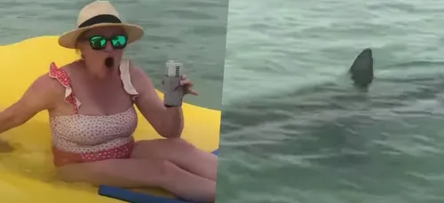 Encerclées par sept requins, elles font preuve d'un sang-froid...