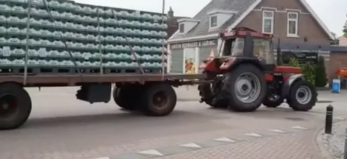 Ils profitent d'une promo spéciale et achètent plus de 11.000...