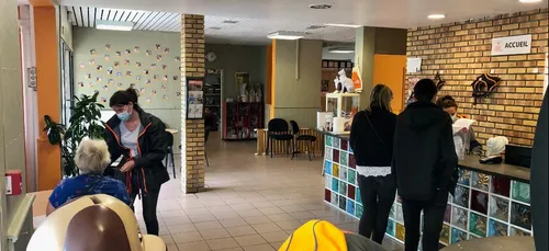 Journée mondiale contre l'abandon : à la rencontre du refuge SPA de...