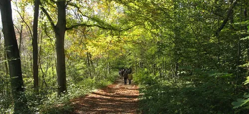 @cpasloinentrain : des balades en famille accessibles en train dans...