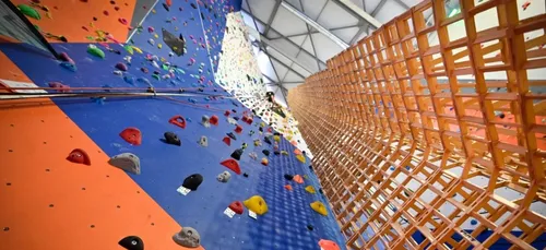 Record : 4 Français construisent la plus haute tour de Kapla au...