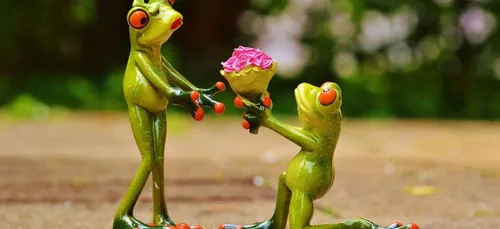 Il fait sa demande en mariage et lâche la bague dans les égouts !...