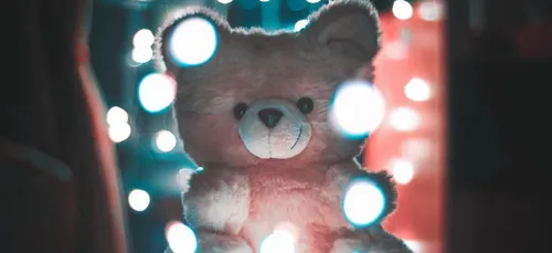 Paris : elle retrouve le doudou perdu de sa fille grâce à Instagram