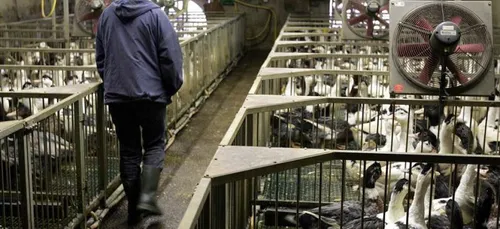 Reprise des activités de production