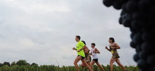 Succès pour le 31ème marathon du Médoc