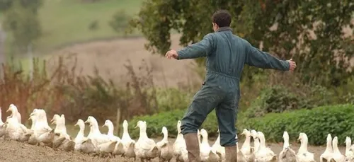 Le prix du foie gras augmente