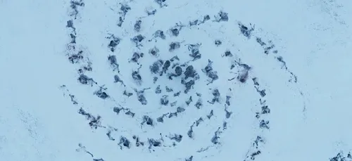Game of Thrones : que veulent dire les spirales des marcheurs blancs ?