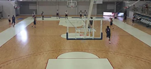 Basket : les Bleues préparent les JO de Rio