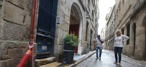 Invasion de rats à Bordeaux