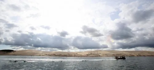 Les moules du banc d'Arguin interdites à la vente