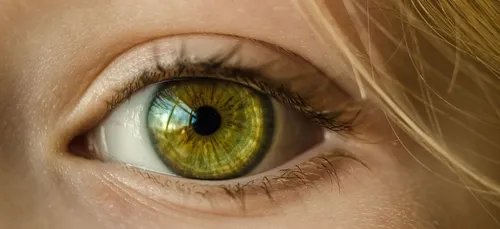 Ce que vous voyez sur cette image en dit long sur votre...