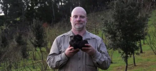 Truffe : la Dordogne détrônée