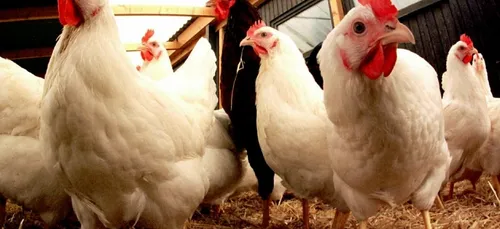 L'essentiel de l'actu 07/12/16 9H