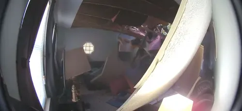 Un arbre traverse le toit de leur maison alors qu’elles regardent...