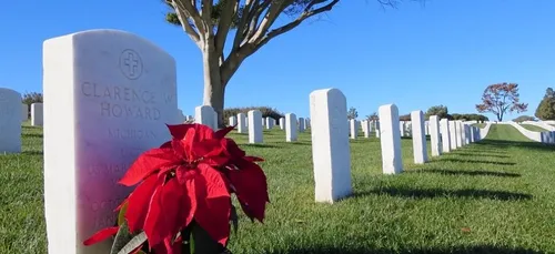 Une université offre des tombes aux étudiants pour lutter contre le...
