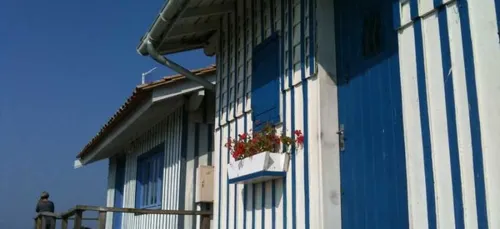 L'essentiel de l'actu 02/01/2017 9h