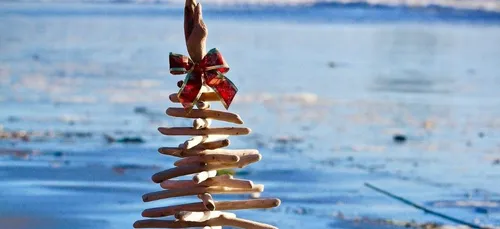 Zéro déchet : comment fabriquer son sapin de Noël en bois flotté