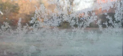 L'essentiel de l'actu 17/01/2017 9H