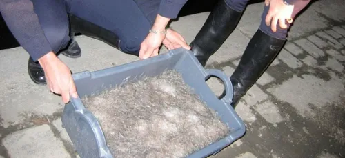 L'essentiel de l'actu 18/01/2017 9H