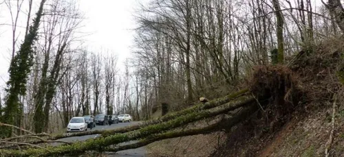 L'essentiel de l'actu 06/03/17 19h