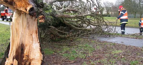 L'essentiel de l'actu 07/03/17 9h