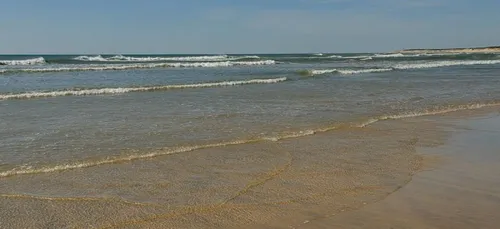 L'essentiel de l'actu 27/03/17 9h