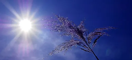 Météo du week-end : il fera encore très chaud !