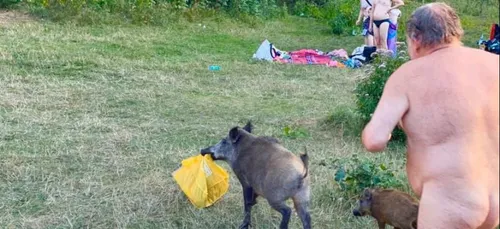Il se fait voler son sac par un sanglier et le poursuit entièrement...