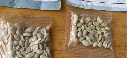 Vous venez de recevoir des graines venues de Chine ? Ne les plantez...