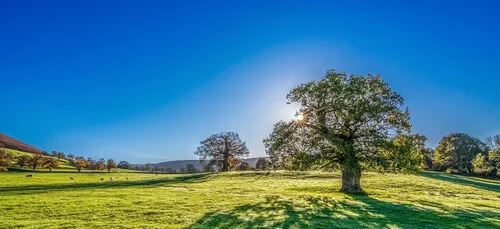 Météo du week-end : un beau week-end avec des températures très...
