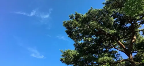 Météo du week-end : un temps calme et ensoleillé sur les 3/4 du pays