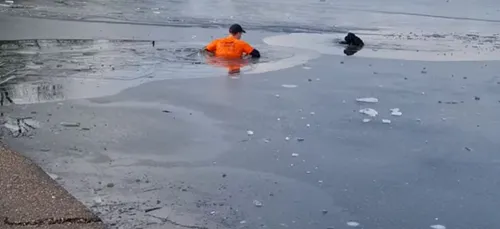 Il sauve un chien piégé en plongeant dans un lac gelé (vidéo)