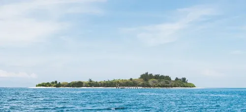 Job de rêve : devenez le gardien d'une île déserte !
